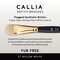 Willow Wolfe Callia Artist Mixed Media Detail Brush Set-Round, Liner, Filbert, Flat, Angle